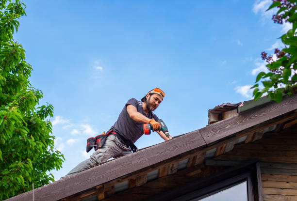 Best Roof Maintenance and Cleaning  in Leslie, MI