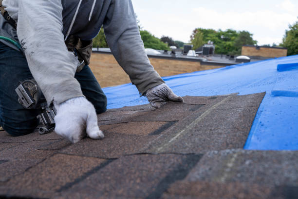 Best Sheet Metal Roofing  in Leslie, MI