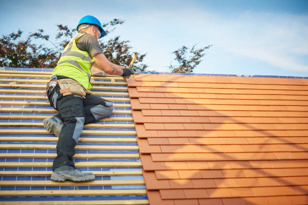 Best Solar Panel Roofing Installation  in Leslie, MI